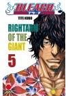 Bleach N.   5 - V Ristampa