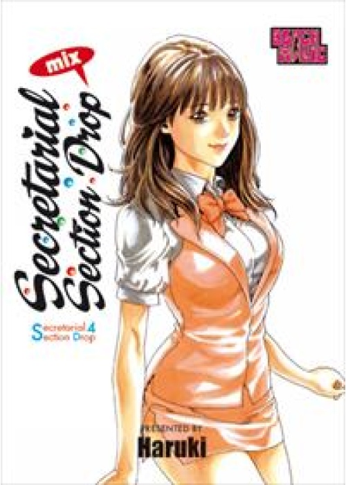 SECRETARIAL SECTION DROP MIX  N.   4