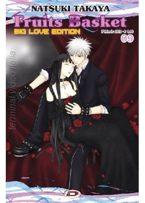 FRUITS BASKET - BIG LOVE EDITION N.   9