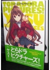 TORA DORA PICTURES! Yasu Illustrations