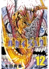 HAKAIJU N.  12