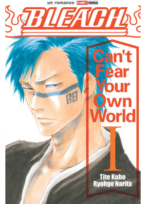 BLEACH CAN'T FEAR YOUR OWN WORLD - ROMANZO