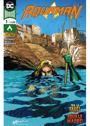 AQUAMAN    N.   1 - PANINI DC