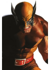 Wolverine N.   410 – Wolverine 9 Variant Alex Ross