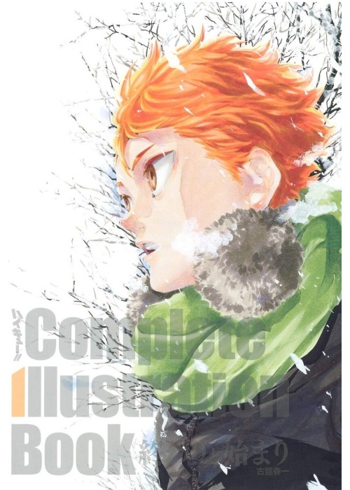HAIKYU!! COMPLETE ILLUSTRATION BOOK (originale giapponese)
