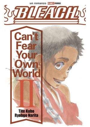 Bleach Can't Fear Your Own World 2 - Romanzo