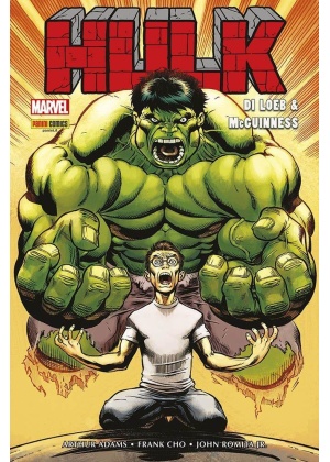 Marvel Omnibus Hulk di Jeph Loeb & ed Mcguinness