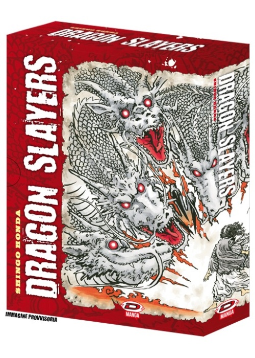DRAGON SLAYERS COLLECTOR'S BOX