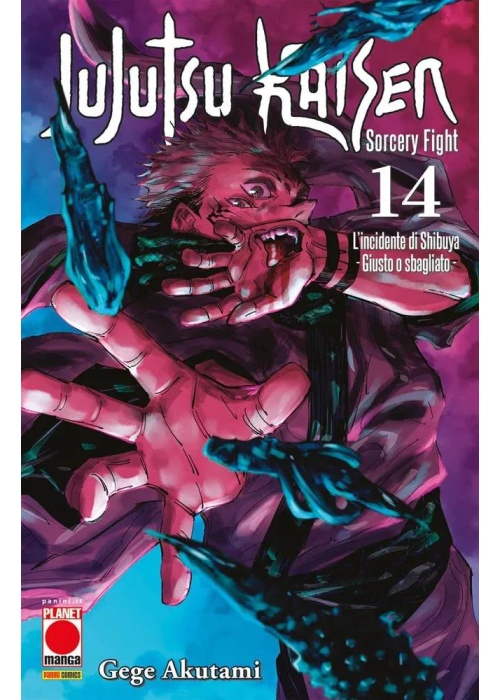 JUJUTSU KAISEN N.  14 SORCERY FIGHT
