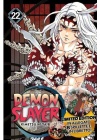 Demon Slayer N.  22 Limited Edition con Libretto e Spillette- Kimetsu No Yaiba