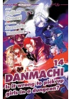 Danmachi Light Novel N.  14 - Is It Wrong To Pick Up Girls in a Dungeon?