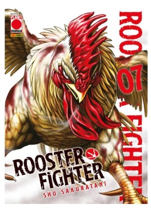 Rooster Fighter N.   7