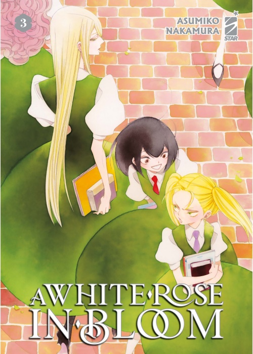 A WHITE ROSE IN BLOOM N.   3