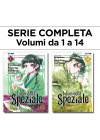 I DIARI DELLA SPEZIALE N.   1 AL 14 SEQUENZA COMPLETA