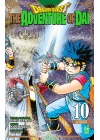 Dragon Quest The Adventure Of dai N.  10