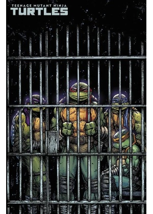 Teenage Mutant Ninja Turtles N.  11 Variant Kevin Eastman