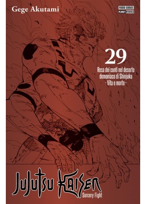 Jujutsu Kaisen N.  29 Variant