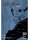 Jujutsu Kaisen N.  30 Variant